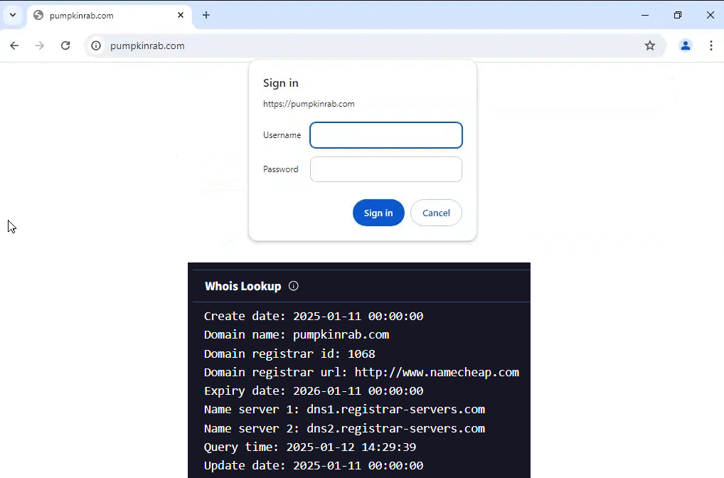 black-basta-cactus-ransomware-backconnect گروه والنربایت vulnerbyte