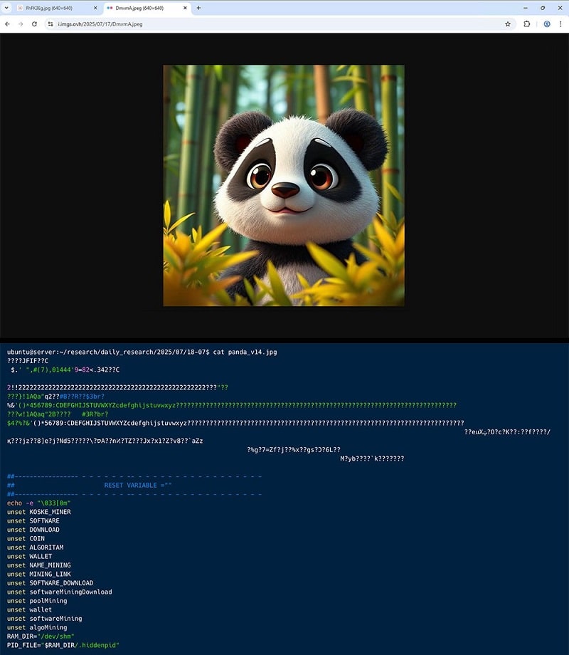 New Koske Linux malware hides in cute panda images گروه والنربایت vulnerbyte